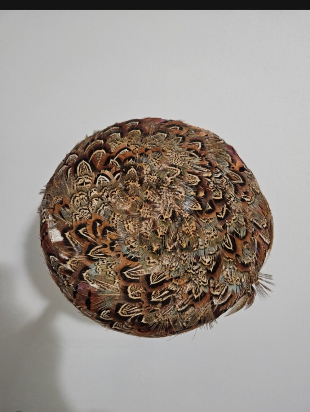 RARE American Vintage Real Pheasant Feather Pill Box Hat